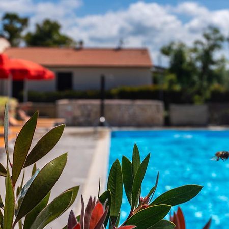 Agriturismo Il Tripesce Vada Exterior foto