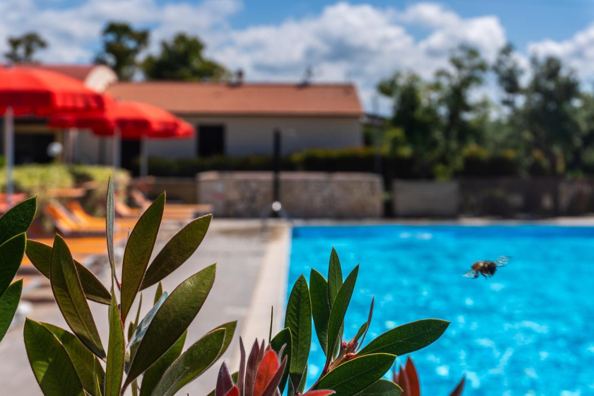 Agriturismo Il Tripesce Vada Exterior foto