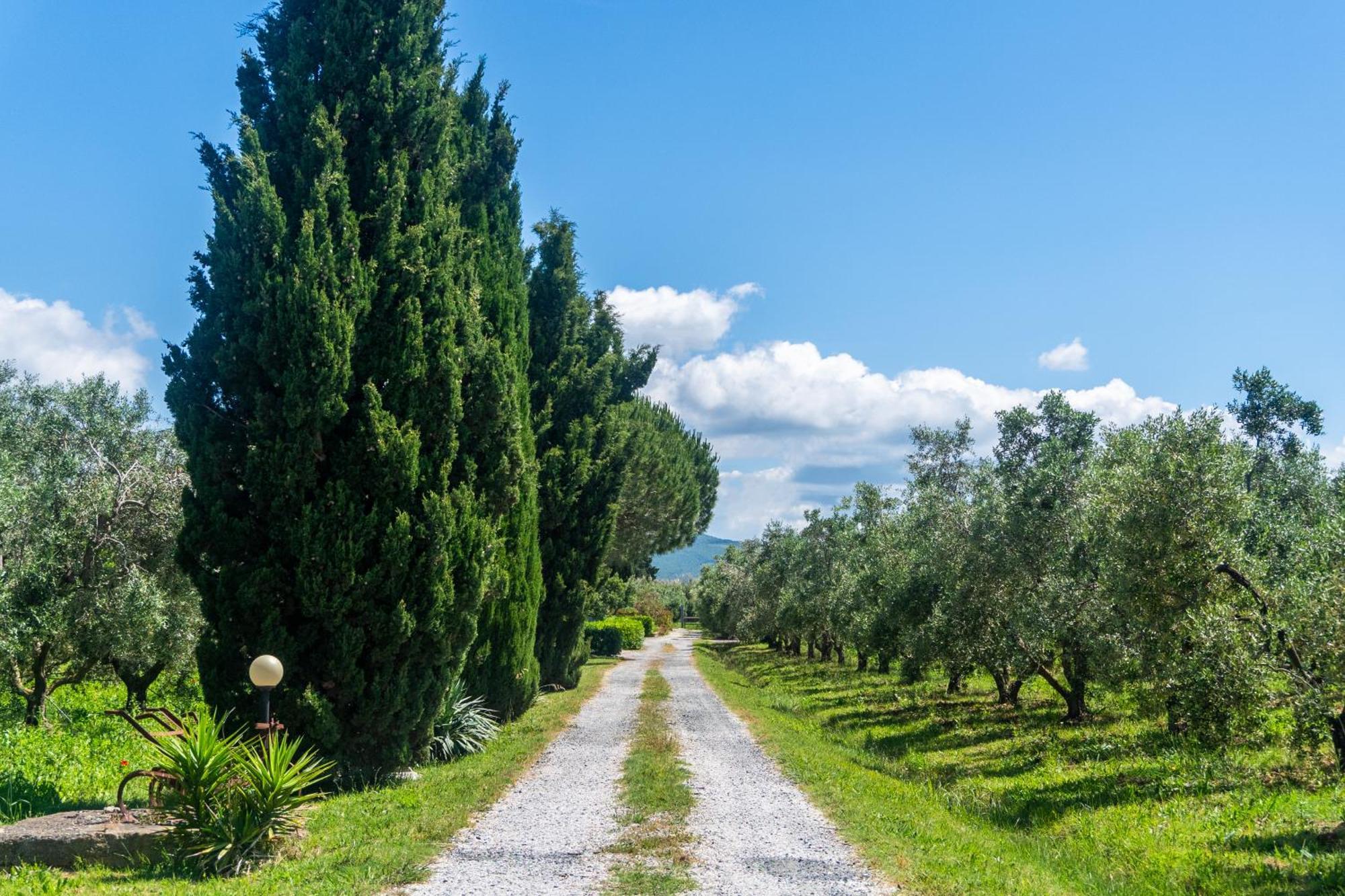 Agriturismo Il Tripesce Vada Exterior foto