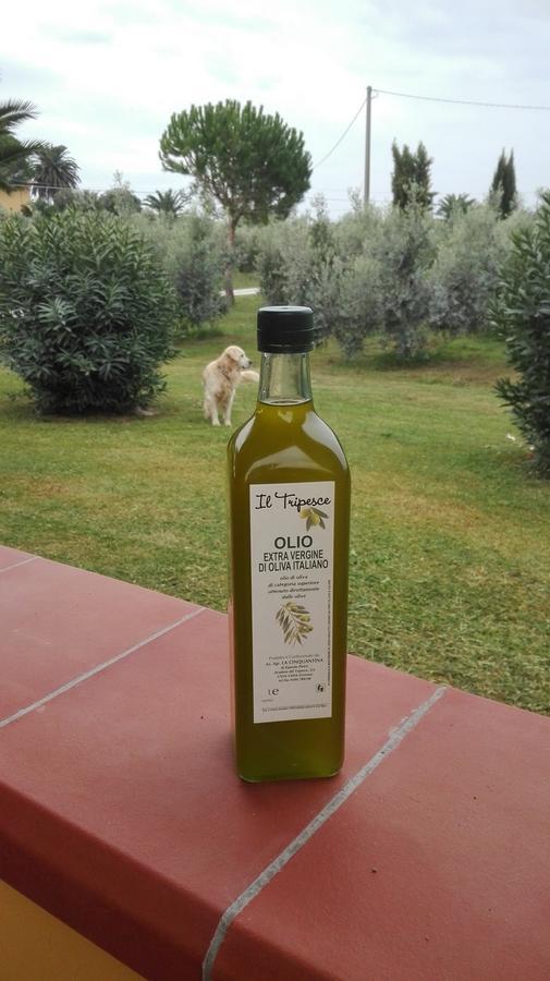 Agriturismo Il Tripesce Vada Exterior foto