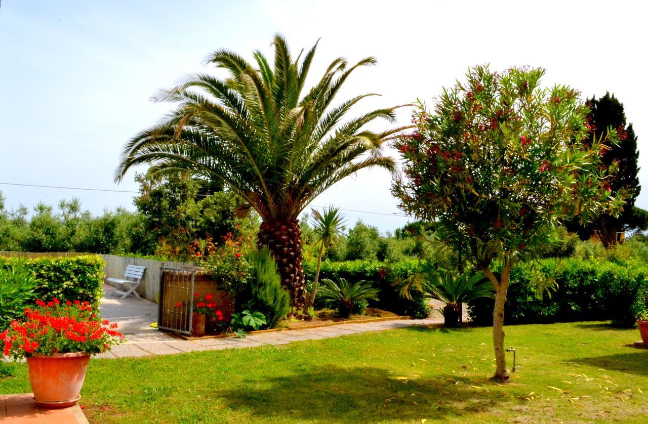 Agriturismo Il Tripesce Vada Exterior foto